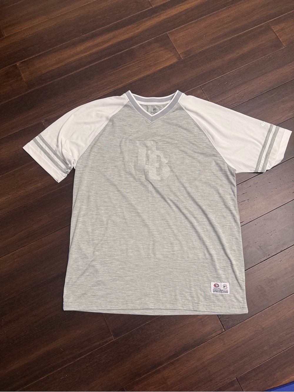 TB Rays shirt